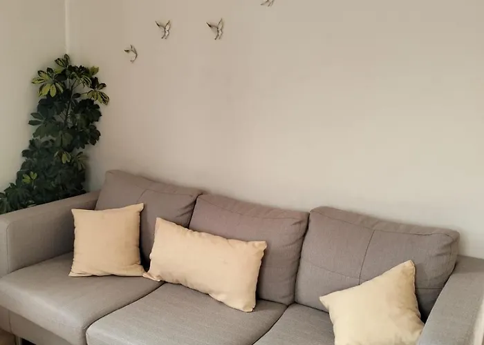 Maison Zita ゲストハウス Venda do Atalhinho